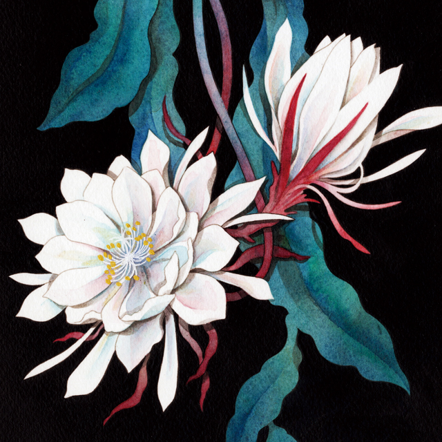 杉浦由紀