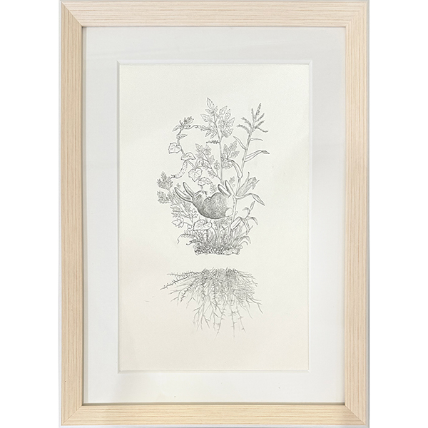 鋤柄真希子　ウサギのねむり