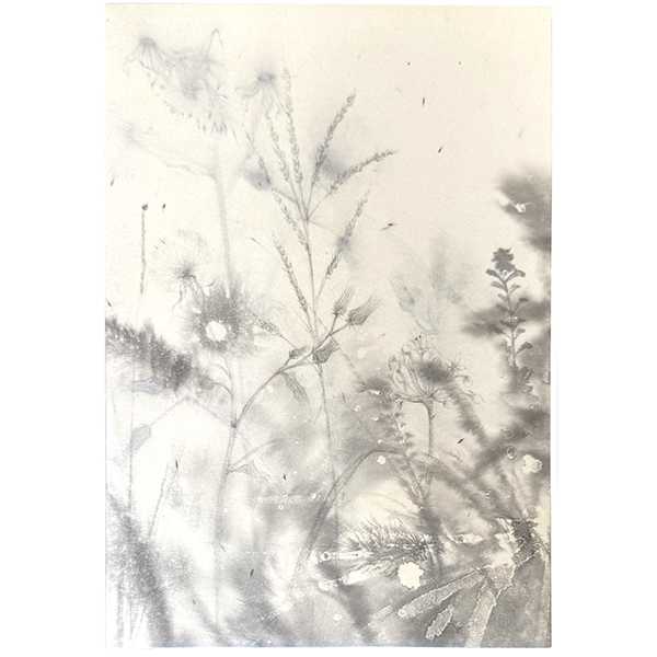 新田美佳　秋の琴